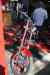200908290118m.jpg - 2009:08:29 13:13:38