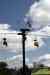 200908290153m.jpg - 2009:08:29 13:41:29