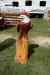 200908290222m.jpg - 2009:08:29 14:32:29