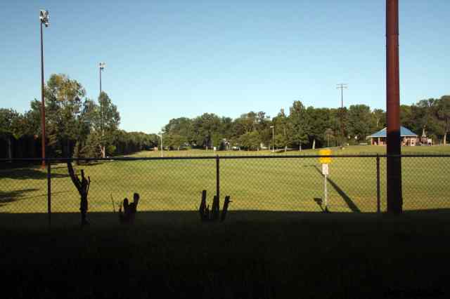 * Image 1
