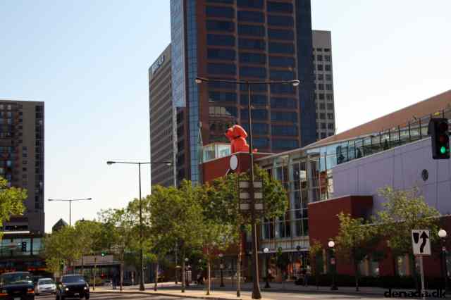 * Image 3