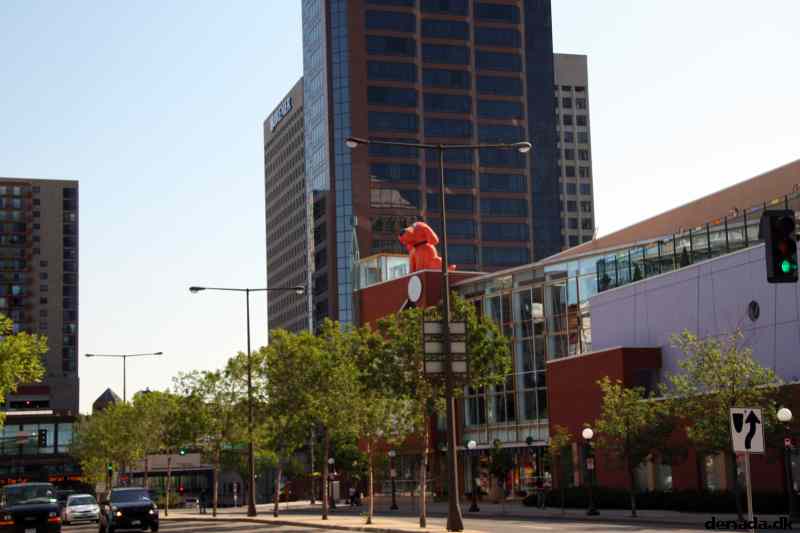 * Image 3