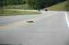 200908300133m.jpg - 2009:08:30 16:36:53
