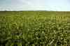200908300188m.jpg - 2009:08:30 17:08:31