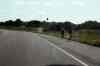 200908300211m.jpg - 2009:08:30 17:29:37