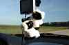 200908300272m.jpg - 2009:08:30 18:32:43