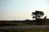 200908300324m.jpg - 2009:08:30 19:13:33
