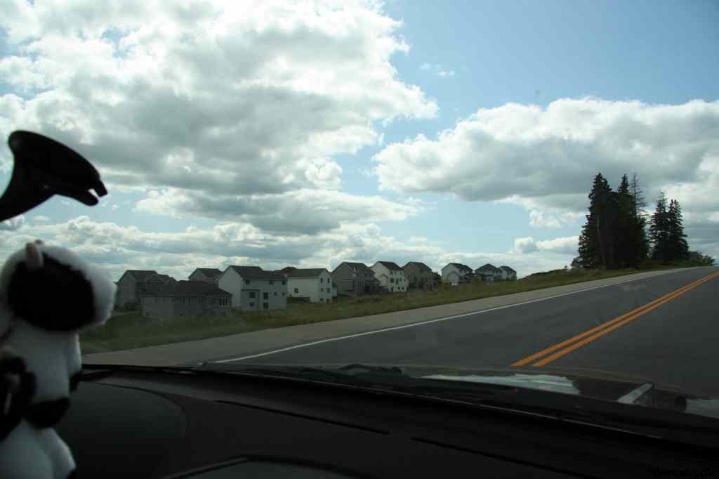 * Image 3