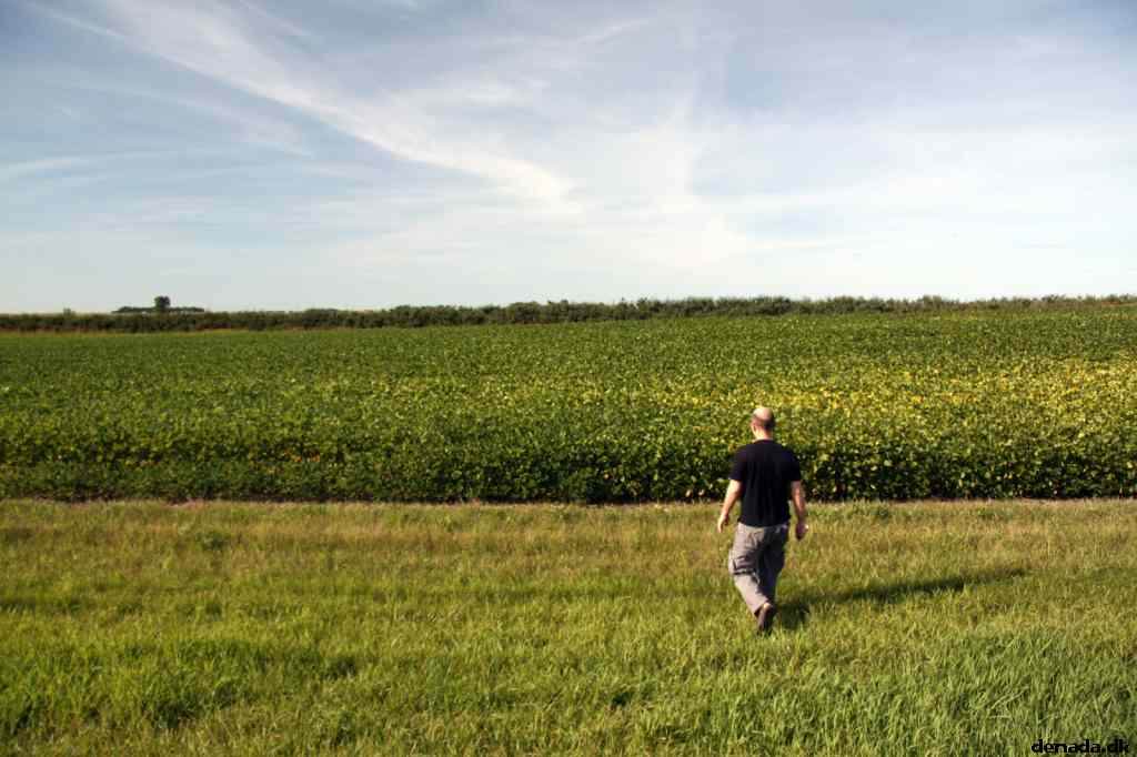 * Image 25