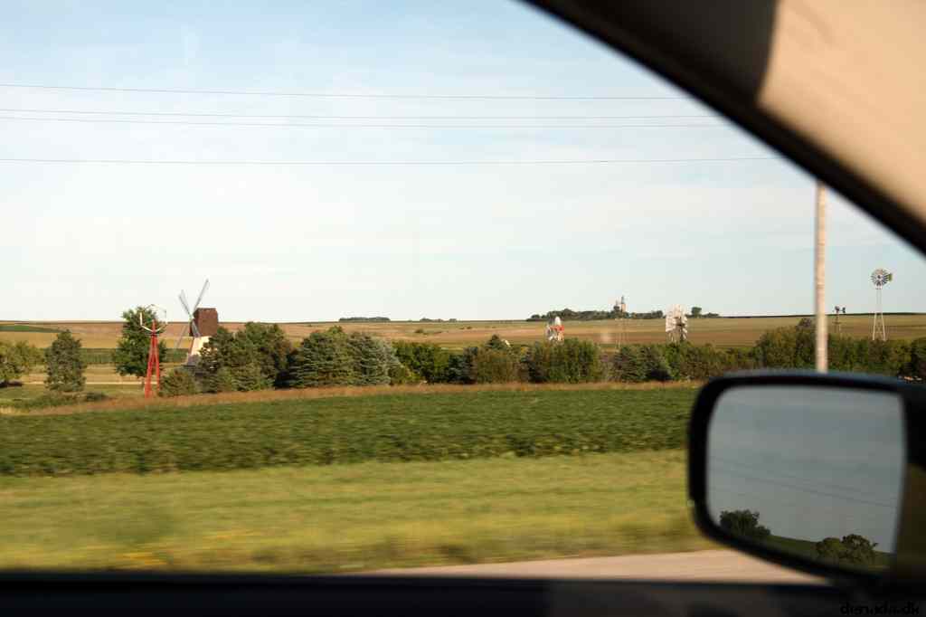 * Image 41