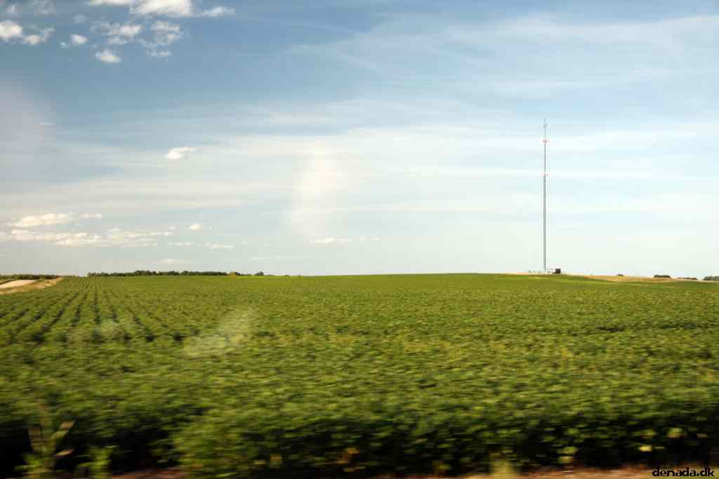 * Image 43