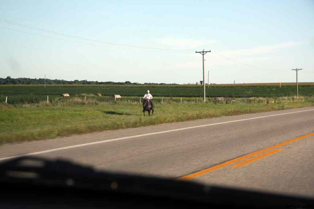 * Image 45