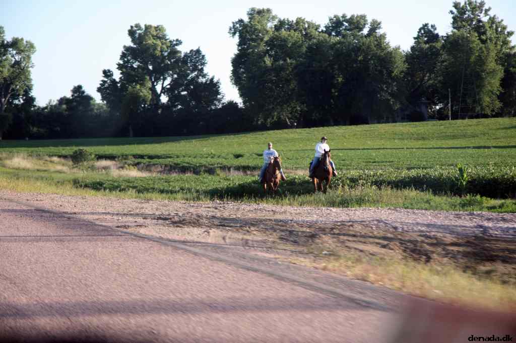 * Image 47