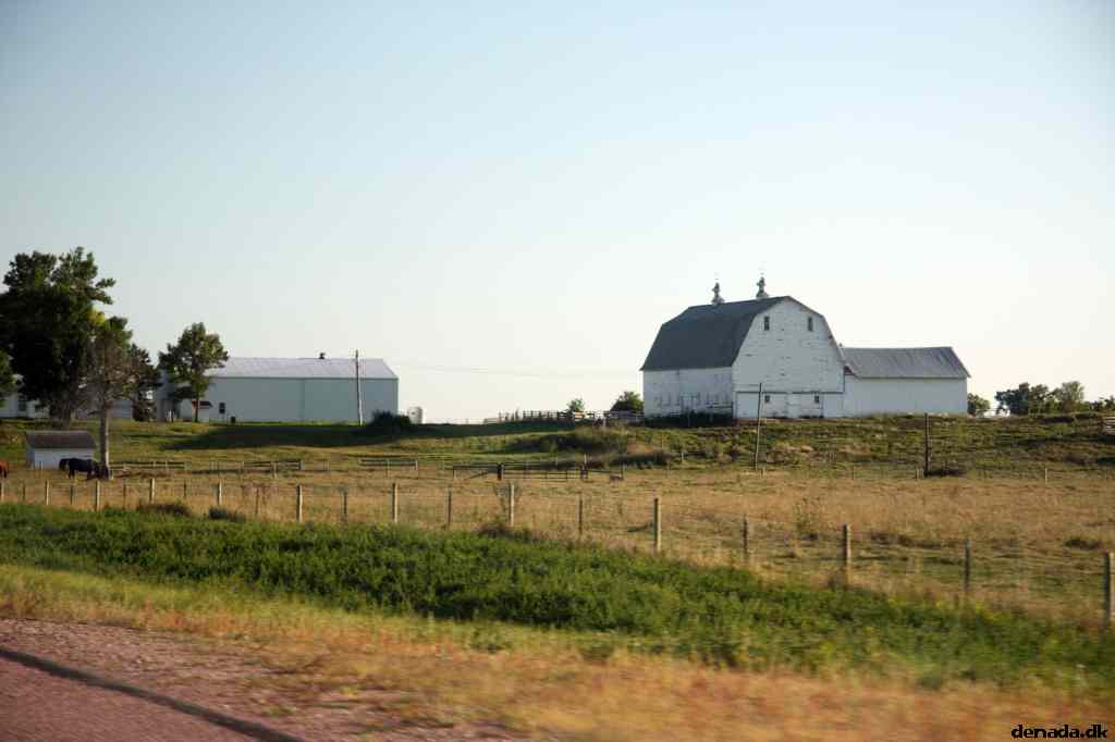 * Image 48