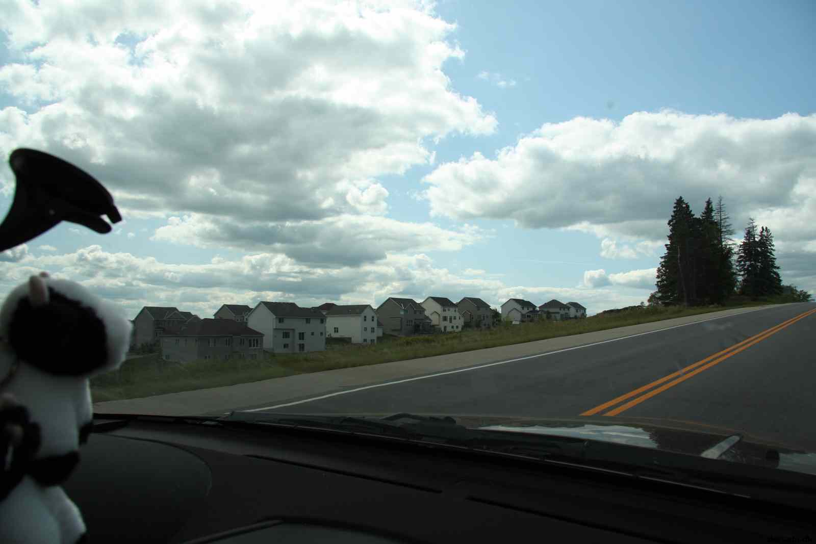 * Image 3