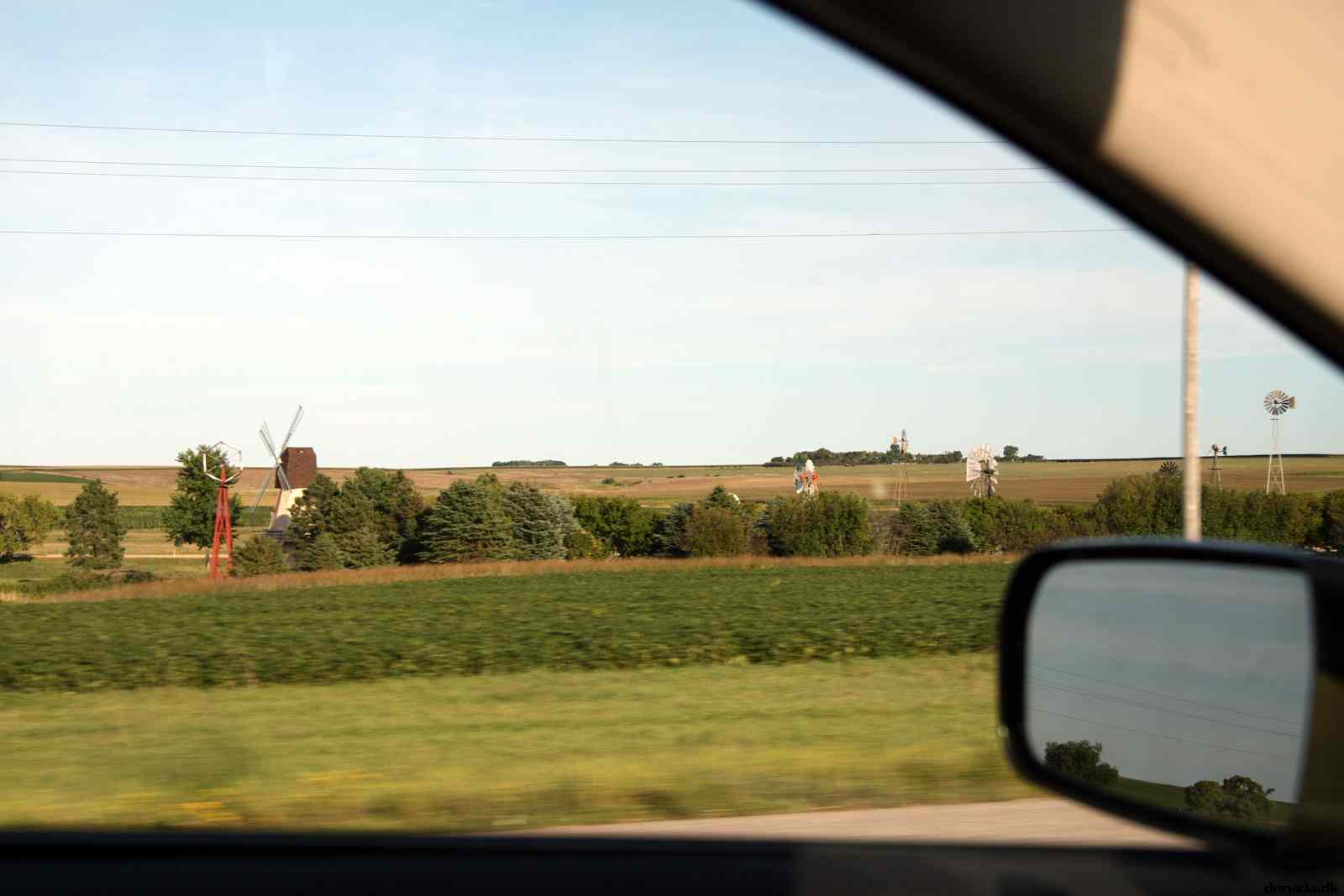 * Image 41