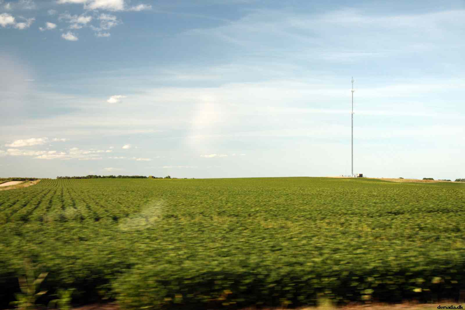 * Image 43