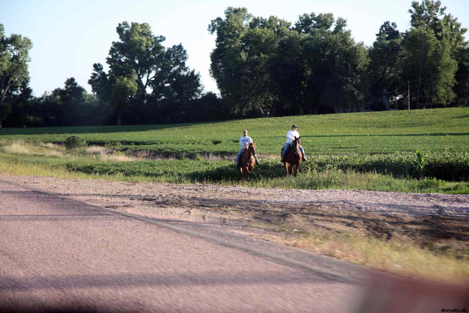 * Image 47