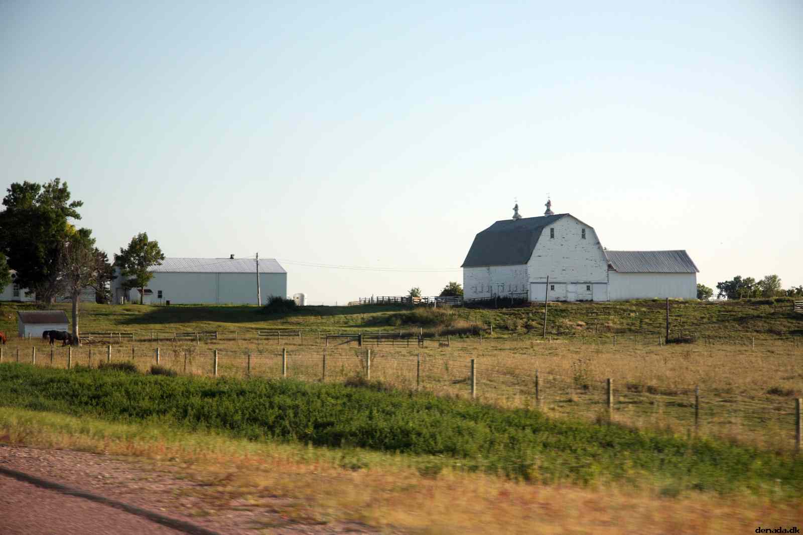 * Image 48
