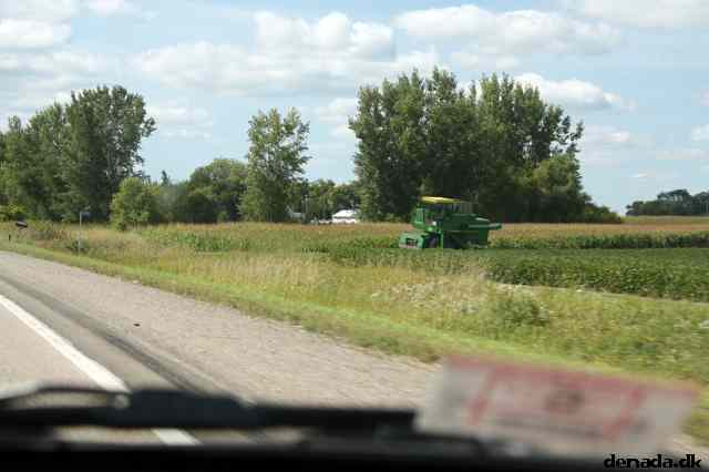 * Image 7