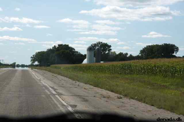 * Image 11