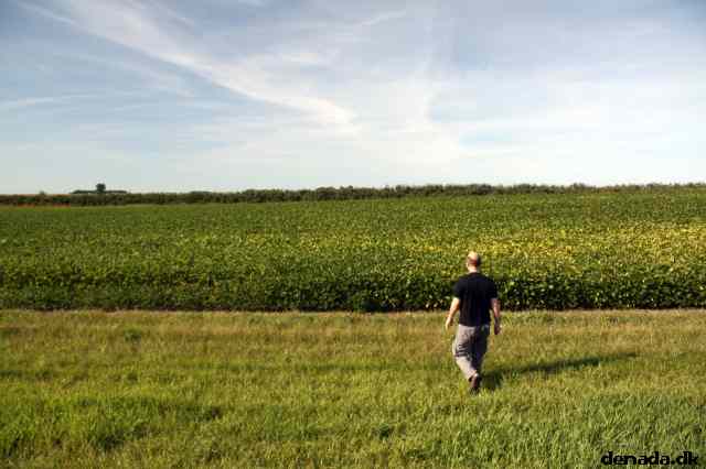 * Image 25