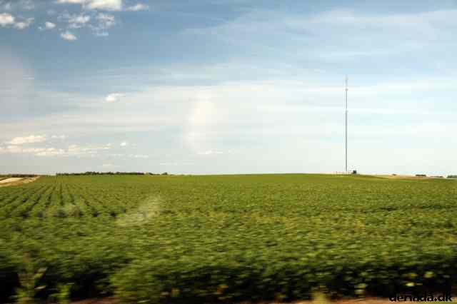 * Image 43