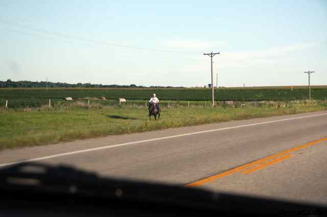 * Image 45