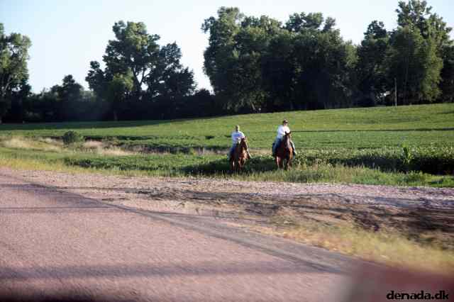* Image 47