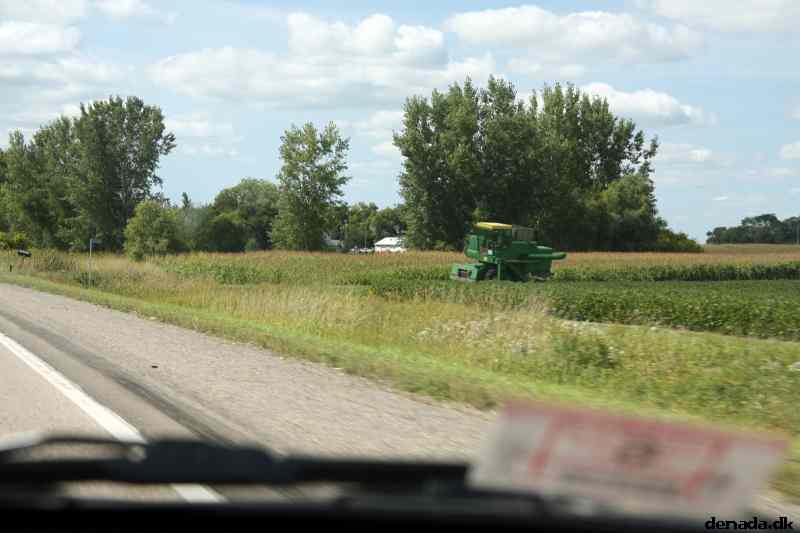 * Image 7