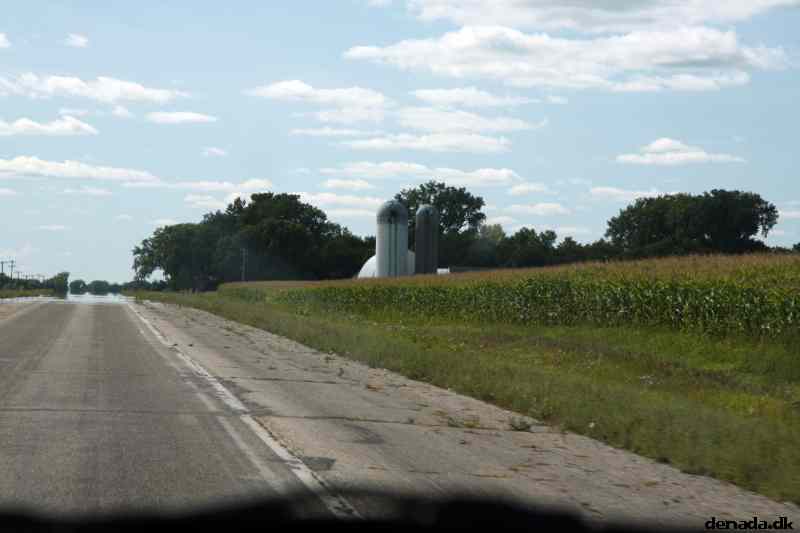 * Image 11