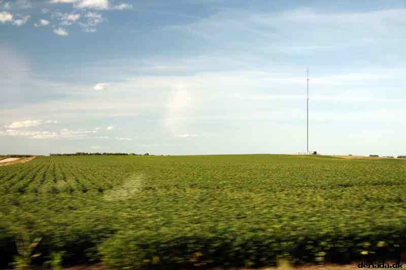 * Image 43