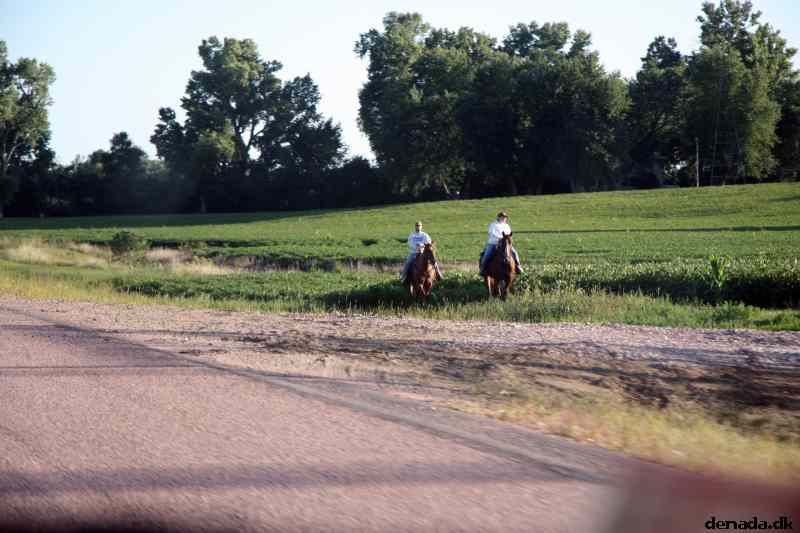 * Image 47