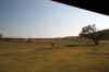 200908310010m.jpg - 2009:08:31 09:35:28