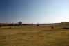 200908310011m.jpg - 2009:08:31 09:35:34