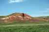 200908310037m.jpg - 2009:08:31 10:46:03