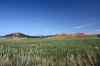 200908310038m.jpg - 2009:08:31 10:46:15