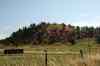 200908310039m.jpg - 2009:08:31 10:46:23