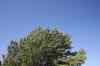 200908310051m.jpg - 2009:08:31 10:56:23