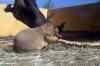 200908310070m.jpg - 2009:08:31 11:00:01