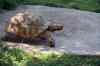 200908310091m.jpg - 2009:08:31 11:32:02