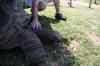 200908310097m.jpg - 2009:08:31 11:39:04