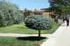 200908310106m.jpg - 2009:08:31 11:43:46