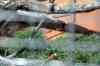 200908310113m.jpg - 2009:08:31 11:45:57