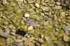 200908310128m.jpg - 2009:08:31 11:50:54