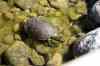200908310142m.jpg - 2009:08:31 11:52:11