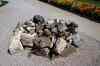 200908310148m.jpg - 2009:08:31 11:54:13