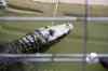 200908310153m.jpg - 2009:08:31 11:56:11
