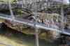 200908310155m.jpg - 2009:08:31 11:56:20