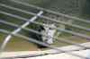 200908310158m.jpg - 2009:08:31 11:57:00